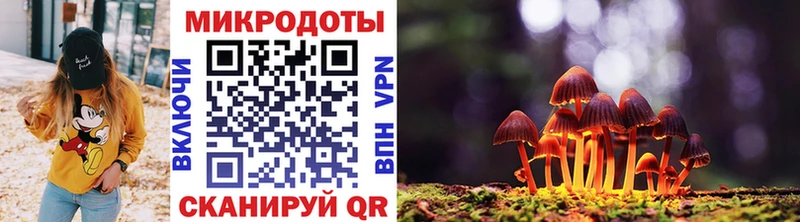 Галлюциногенные грибы ЛСД  Мариинский Посад 